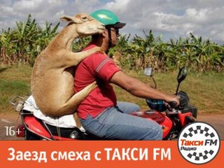 Заезд смеха с Такси FM